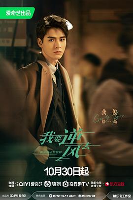 李小龙传奇版海报剧照